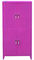Purple 4 Hoek 1.2mm van het Deurmetaal Muur Opgezet Woonkamerkabinet